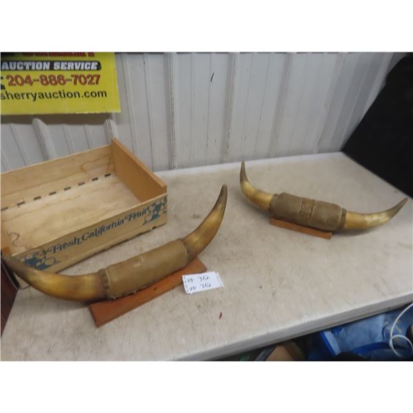 2 Mounted Cattle Horns Both with 23: Spread + Fruit Crate 