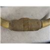 Image 4 : 2 Mounted Cattle Horns Both with 23: Spread + Fruit Crate 