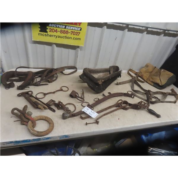 Dog Harness, Horse Harness , Snaps, Rings, Heims + 