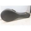 Image 8 : Mandolin with Case