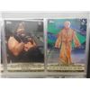 Image 5 : WWE Wrestling Card Collection