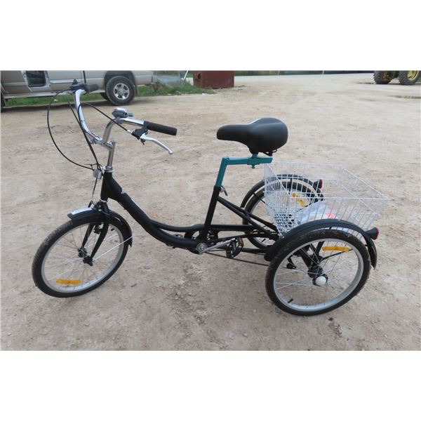 New Variable Speed 3 Wheeled Bike with Back Parcel Carrier
