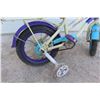 Image 3 : Gateway Girl Bicycle with Training Wheels 