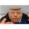 Image 2 : Trump Costume