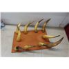 Image 3 : Horn Coat Rack 23x15 Needs Some Re-Securing 
