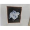 Image 5 : 2 Framed Floral Pictures 