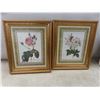 Image 5 : 8 Framed Pictures Largest 22"x18" + 3 Factory