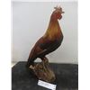 Image 1 : Rooster Mounted on Driftwood 17 1/2" Tall 