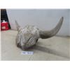 Image 1 : Buffalo Skull Horn Spread 24''