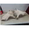 Image 10 : 2 Moose Sheds Larger Approximately 23x29