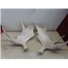 Image 1 : 2 Moose Sheds Larger Approximately 23x29