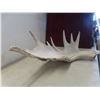 Image 7 : 2 Moose Sheds Larger Approximately 23x29