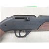 Image 2 : Crossman Air Power 760 Pumpmaster Pellet Gun