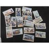 Image 4 : Vintage 1939 Wills Navy Cut Cigaretted Cards 