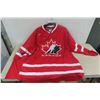 Image 8 : Vintage Team Canada Hockey Jersey New