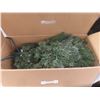 Image 2 : 4.5ft Lit Virginia Pine Christmas Tree 