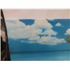 Image 3 : Beach View Picture 22'' x 55'' 