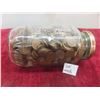 Image 1 : 6lbs Jar of Canadian Pennies 