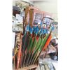 Image 8 : Cupio C2W Compound Bow with Quantity of Arrows 
