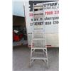 Image 1 : Multi Use Step/Extension Ladder