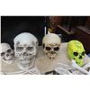 Image 2 : Skulls/Skeletons Décor 