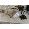 Image 1 : Halloween Décor, Birds, Bird Skeletons, Bats, Bat 