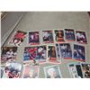 Image 2 : Hockey Card Collection