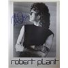 Image 1 : Robert Plant signed promo photo