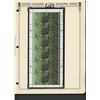 Image 1 : United Nations New York Survival of the Forest Stamp Sheet