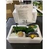 Image 2 : John Deere Precision Classics 24 The Unstyled Model B Tractor 1/16 Scale 15487 In Original Box