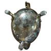 Image 6 : Vintage Sterling Silver Sauce Boat with Monogram & 1909 Date - Weight = 309 grams