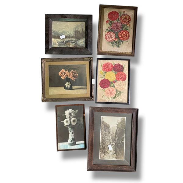 6 Vintage Nature Themed Framed Prints - Largest is 12" x 16"
