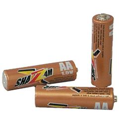 12 PK AA BATTERIES