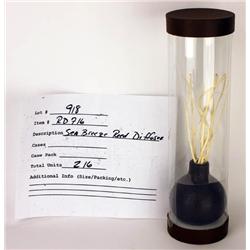 REED DIFFUSER/ SEA BREEZE