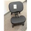 Image 1 : 1 Chair DRAGONN ERGONOMIC KNEELING CHAIRS