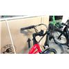 Image 3 : RED RTG REGAL FRONT SUSPENSION 8-SPEED ELECTRIC BIKE