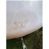 Image 2 : 300-Gal Poly Tank c/w Valve