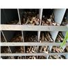 Image 10 : Two Bolt Bins c/w contents & Various Pails of Bolts & Misc.
