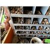 Image 6 : Two Bolt Bins c/w contents & Various Pails of Bolts & Misc.