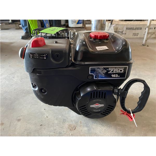 Briggs & Stratton 163 CC Motor