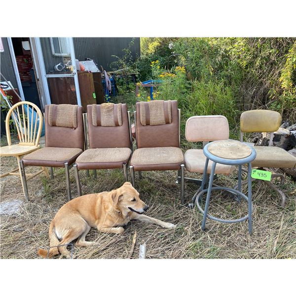 Seven Various Chairs - Dog Not Included