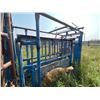 Image 3 : BLUE CATTLE SQUEEZE