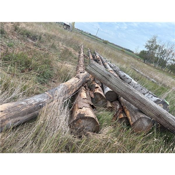 Pile of Logs for firewood, Buyer is responsible to remove by Oct 15th