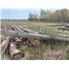 Image 2 : Pile of Logs for firewood, Buyer is responsible to remove by Oct 15th