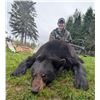 Image 2 : 7-Day New Brunswick Black Bear Hunt
