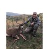 Image 2 : Oregon 5 Day Columbia Blacktail Hunt for 2