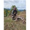 Image 5 : Oregon 5 Day Columbia Blacktail Hunt for 2