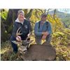 Image 7 : Oregon 5 Day Columbia Blacktail Hunt for 2