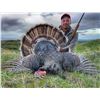 Image 1 : Wyoming Merriam Turkey and prairie dogs for 2 with JR Hunting