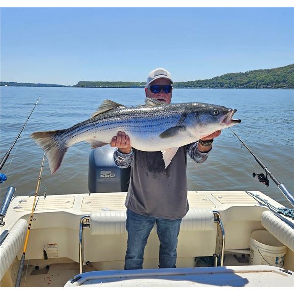 1 Day Striper (Rockfish) Trip with Bent Rod Charters for 3